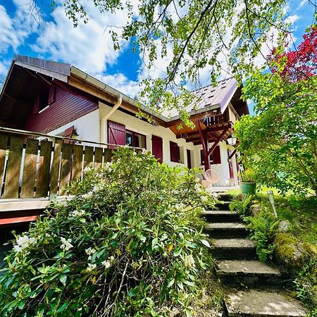 Les Cimes Blanches Cledicihome Chalet 10 Pers Spa & Grand Terrain 4 Minutes Des Pistes Ла-Бресс Екстер'єр фото